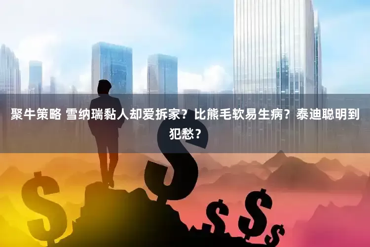 聚牛策略 雪纳瑞黏人却爱拆家？比熊毛软易生病？泰迪聪明到犯愁？