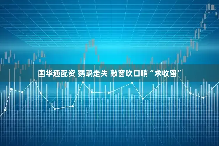 国华通配资 鹦鹉走失 敲窗吹口哨“求收留”