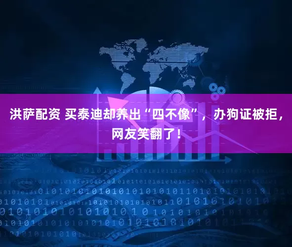 洪萨配资 买泰迪却养出“四不像”，办狗证被拒，网友笑翻了！